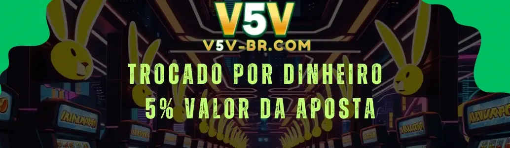 V5V Promoções banner