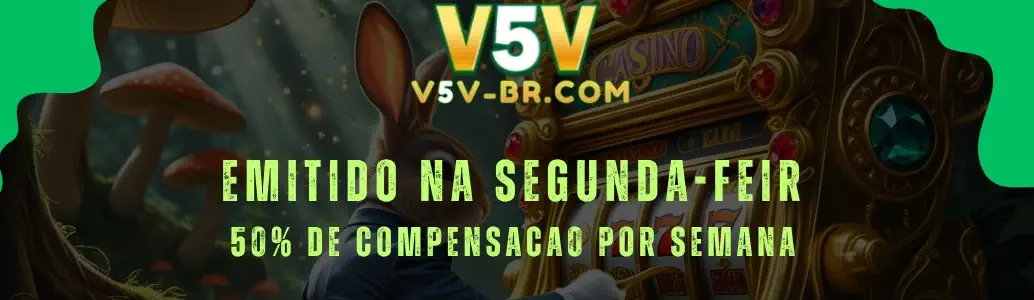 V5V banner